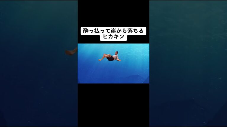 【ヒカニチ】酔っ払って崖から落ちるヒカキン